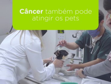 covers dr hato oncologia 370x280 - Oncologia veterinária: Câncer também pode atingir os pets