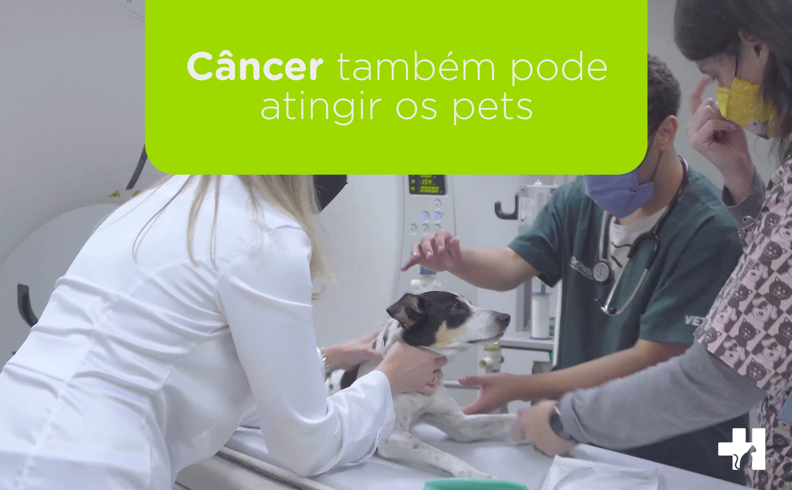 covers dr hato oncologia scaled - Oncologia veterinária: Câncer também pode atingir os pets