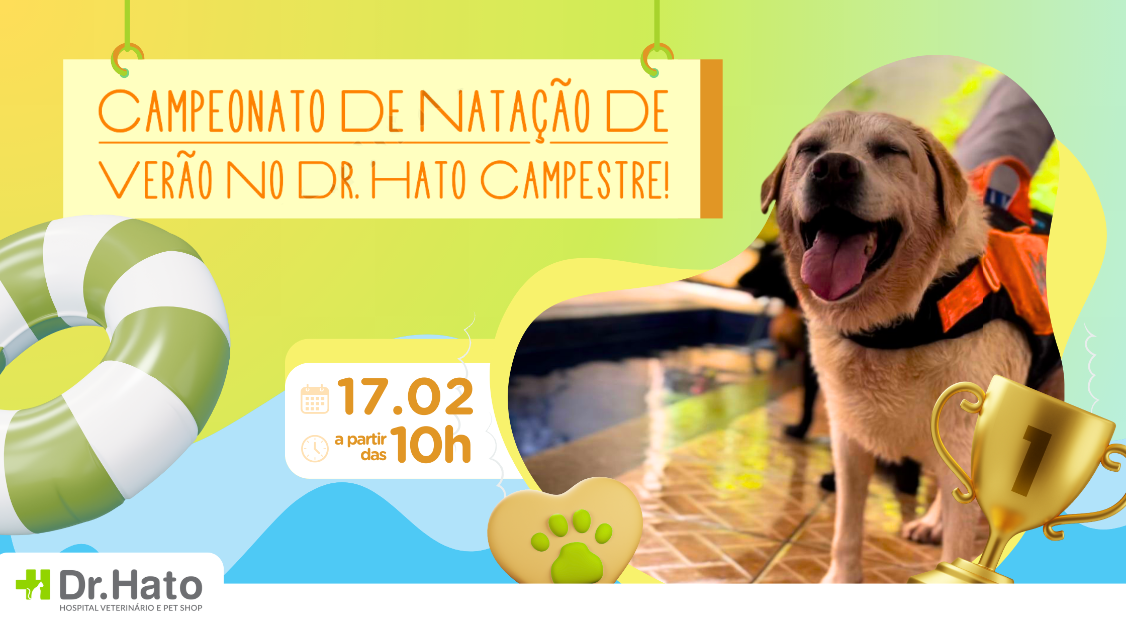 campeonatodenatacao - Campeonato de Natação de Verão para Pets: Diversão Garantida no Dr. Hato Campestre!