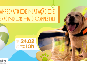 campeonatodenatacao242 370x280 - 24/02! Nova data par ao Campeonato de Natação de Verão para Pets!